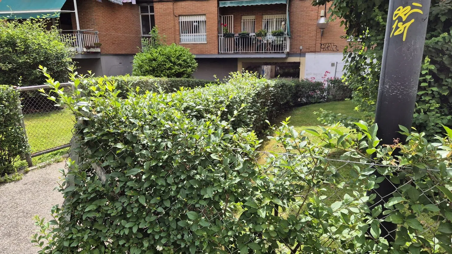 Piso en plaza de la Encina, 3 - Foto 32