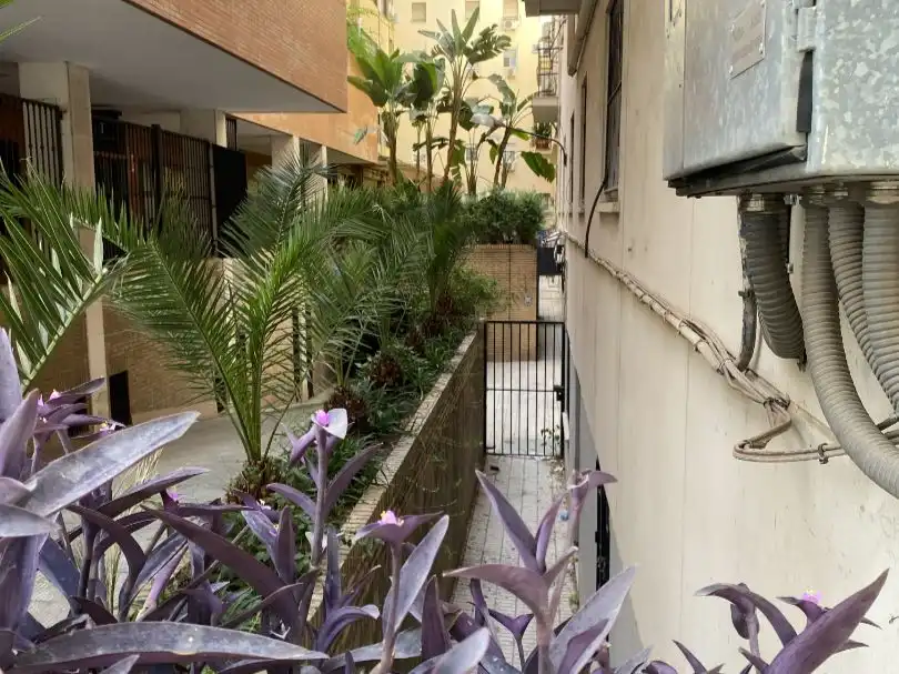 Piso en  Calle Monte Carmelo 17 - Foto 2