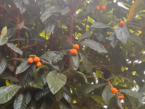 Piso en avenida de Europa, 7 - Foto 10