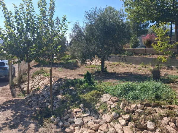 Finca rústica en Partida Poligono 01, 6 - Foto 4