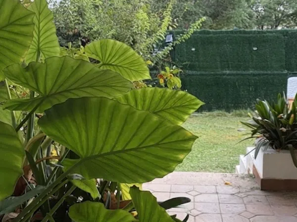 Casa o chalet independiente en Urbanización Santa Catalina, 34, Zona Fuentemora, Zona Fuentemora - Foto 4