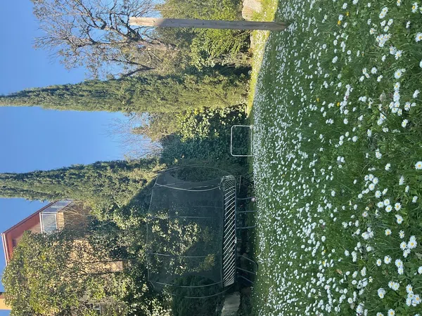 Casa independiente en calle de Magarola, 1 - Foto 9