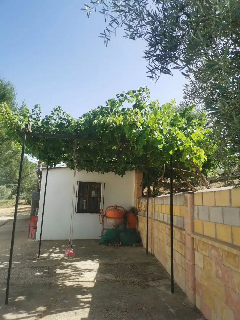 Finca rústica en  Plaza Llanete de Arriba 2 - Foto 6