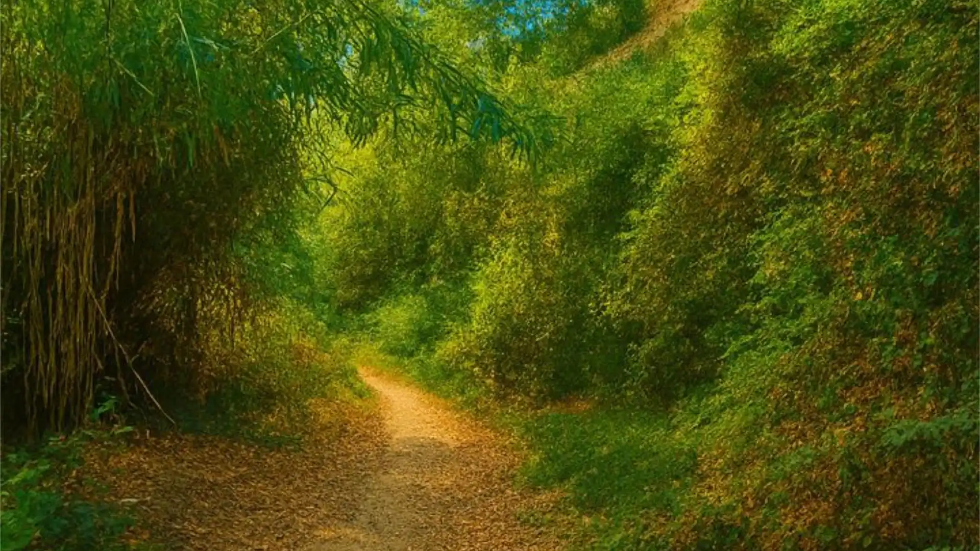 Chalet en  Urbanizacion Parque Botanico las Lomas de Guadalmi 5 - Foto 33