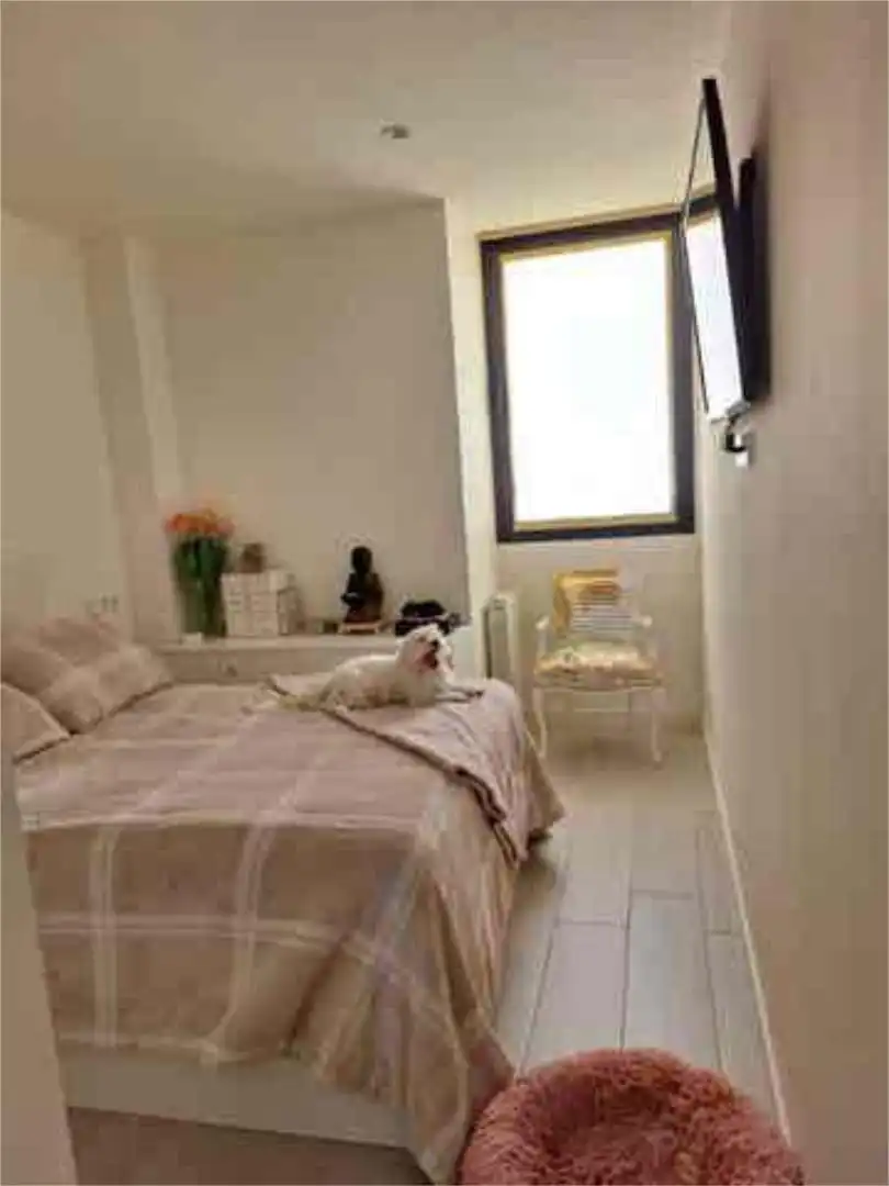 Piso en Eusebio Estada - Foto 1