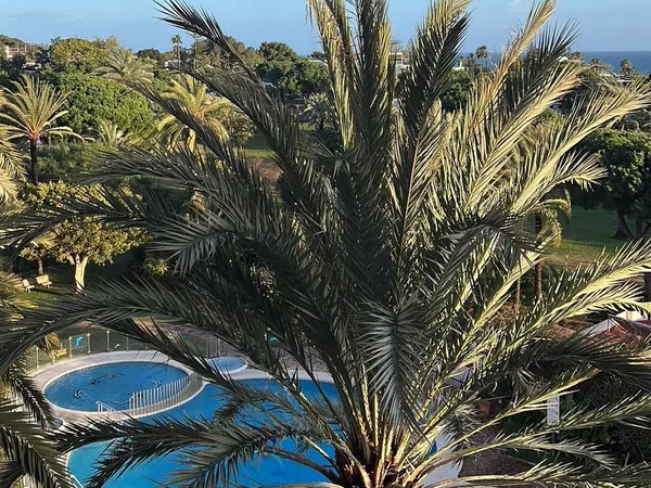 Piso en cuesta Correa, 1 - Foto 23