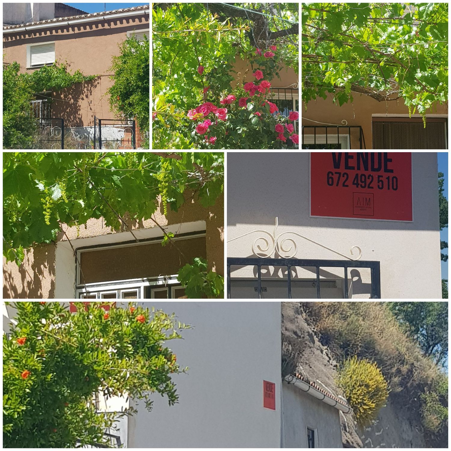 Casa rural en Barriada de Los Raspajos., 1 - Foto 6