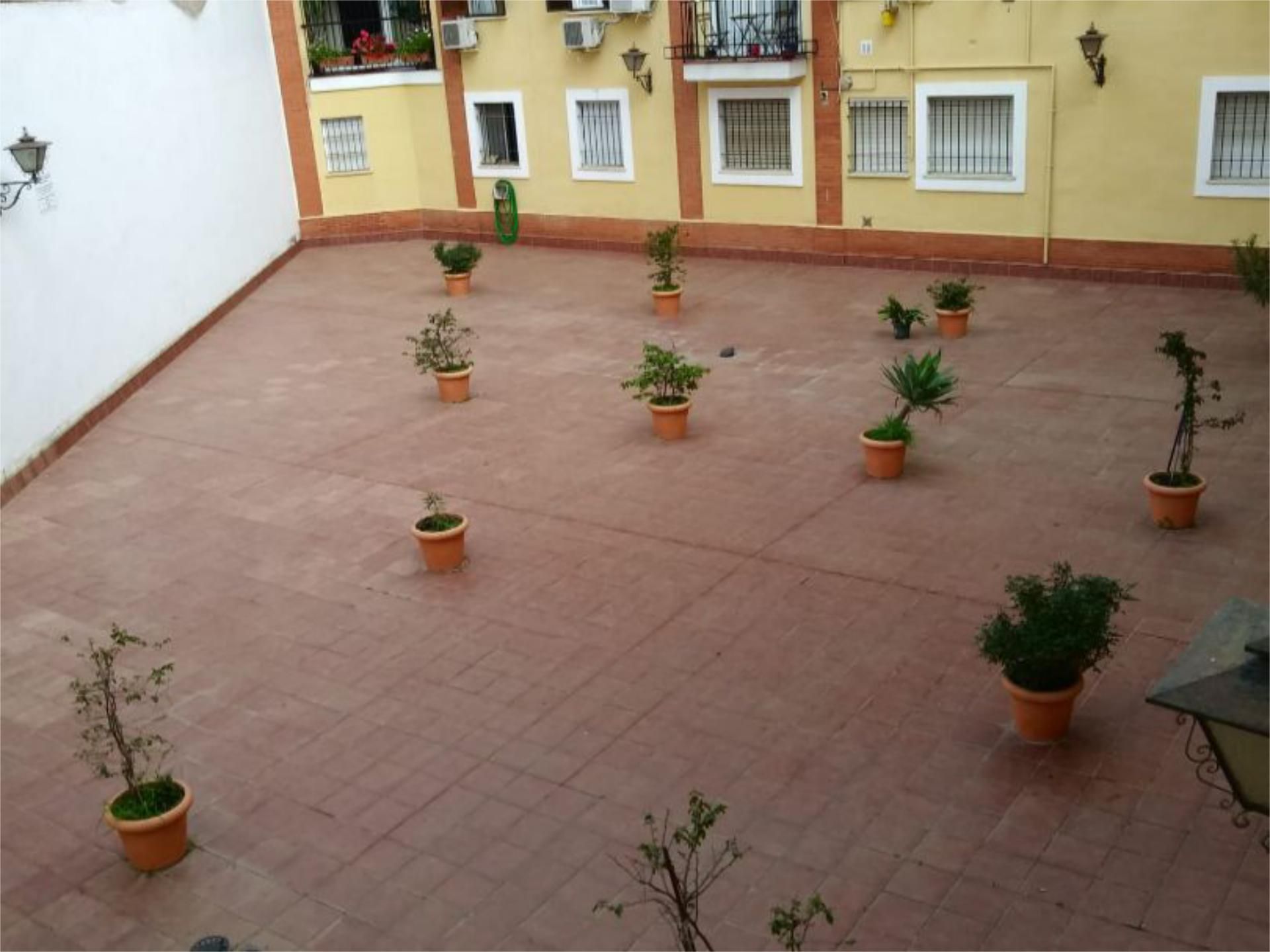 Piso en calle Calle Lope de Vega 11A - Foto 8