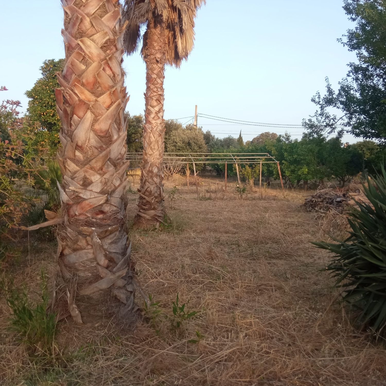 Finca rústica en Ma-3440 s/n, Zona periurbana, Zona periurbana - Foto 5