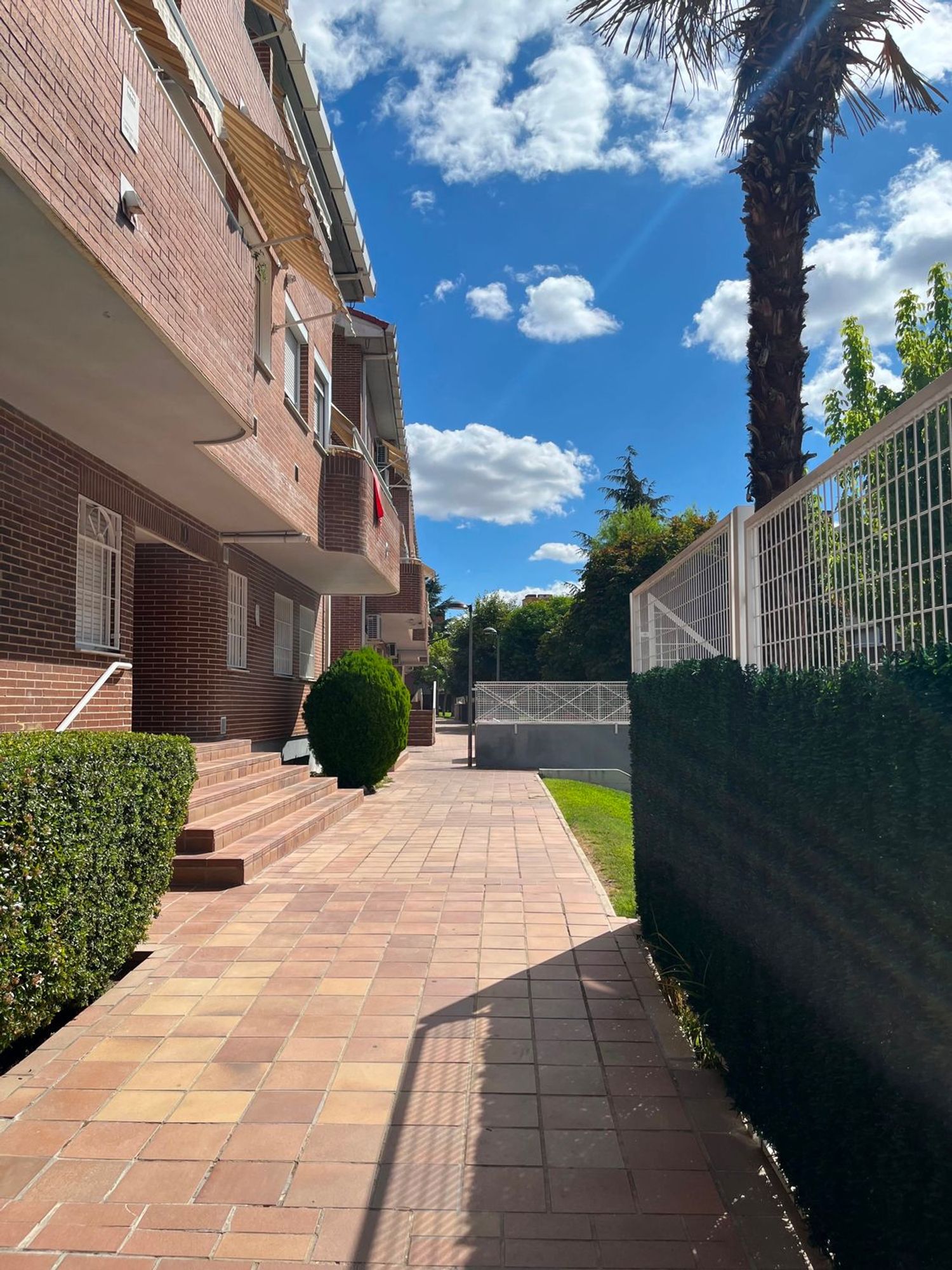 Piso en Calle Camilo José Cela, 1, Prado de Santo Domingo - Foto 11