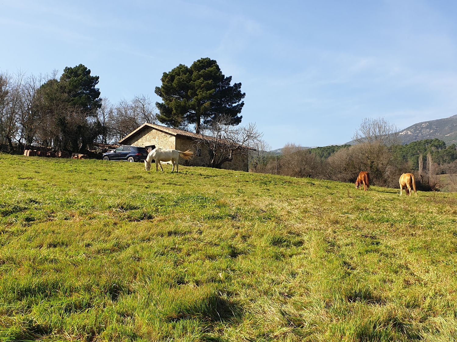 Casa rural en Carretera Ávila s/n - Foto 13