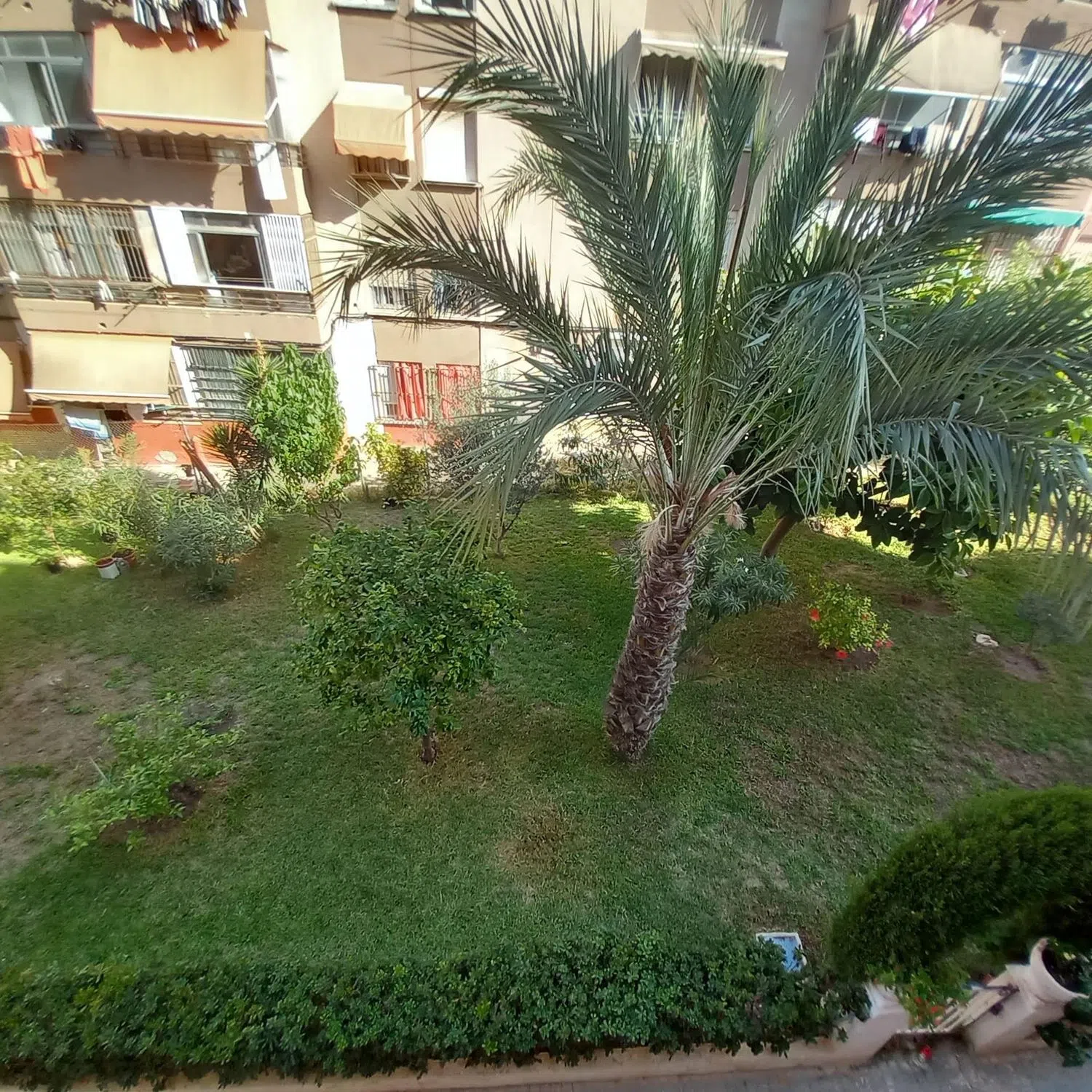 Piso en calle Maestro Chueca, 7 - Foto 2