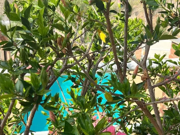 Cortijo en Cortijo en Haza Mora s/n - Foto 25