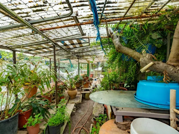 Casa rural en Cañada Lima s/n - Foto 8