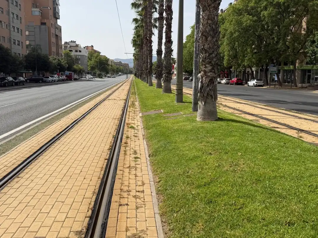 Piso en  Avenida Juan Carlos I 44 - Foto 11
