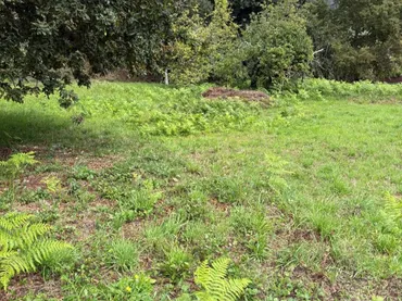 Terreno Residencial en  Camiño das Cortiñas 28 - Foto 3