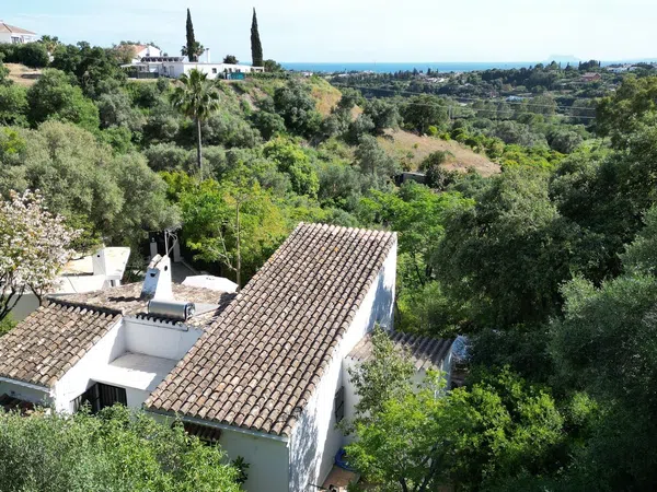 Casa o chalet independiente en Calle de la Palmera, 6, Las Lomas - Foto 40