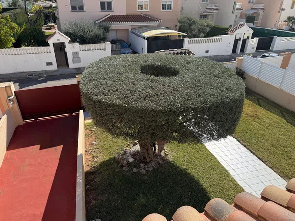 Chalet pareado en Calle Vicent Fuentes, 28, Heliópolis - Eurosol, Heliópolis - Eurosol - Foto 5