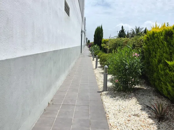 Dúplex en Avenida Matisse, 24, Oliva Nova, Oliva Nova - Foto 16