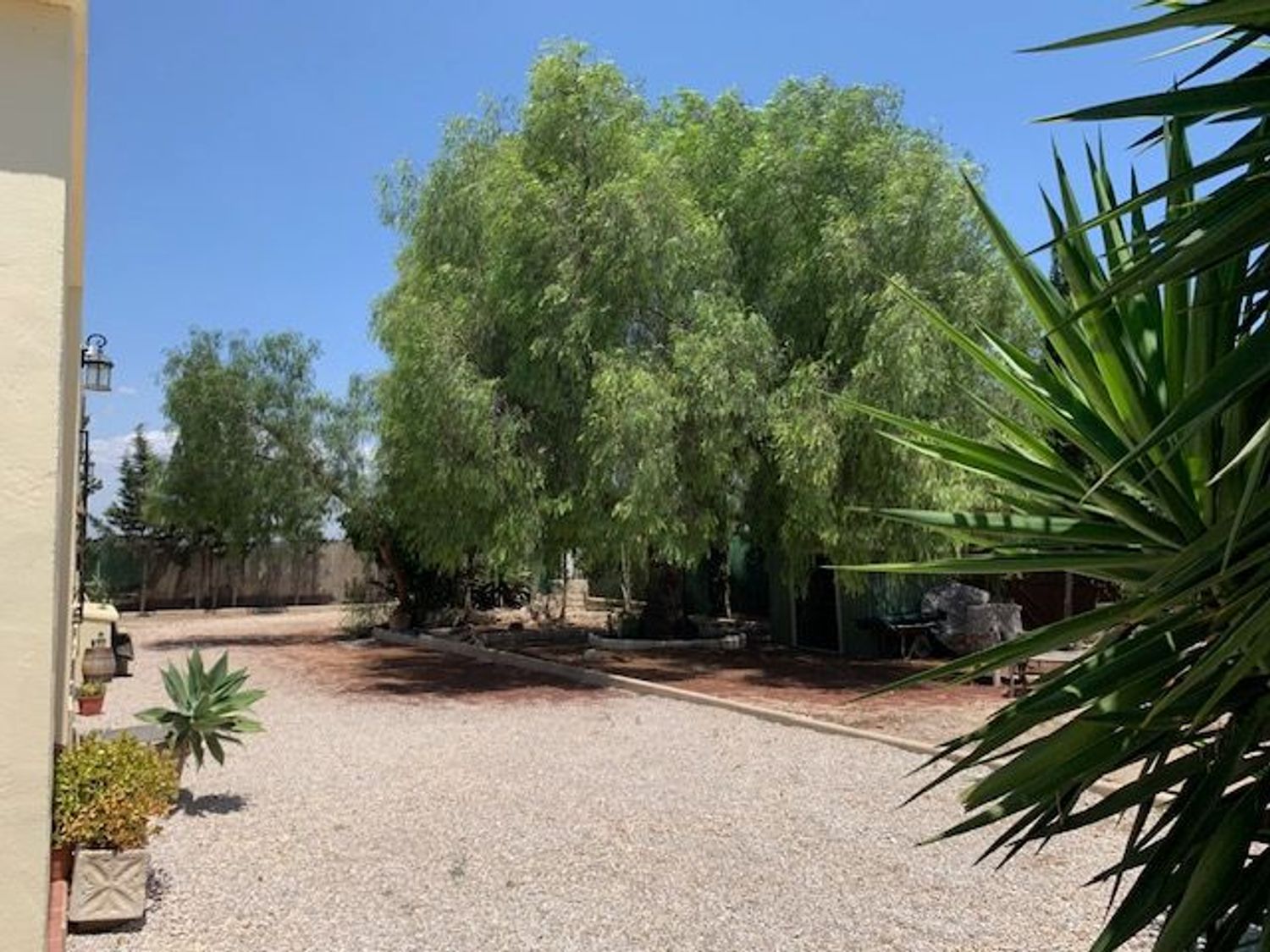 Casa rural en Cv-853, 2028, La Marina, La Marina - Foto 33