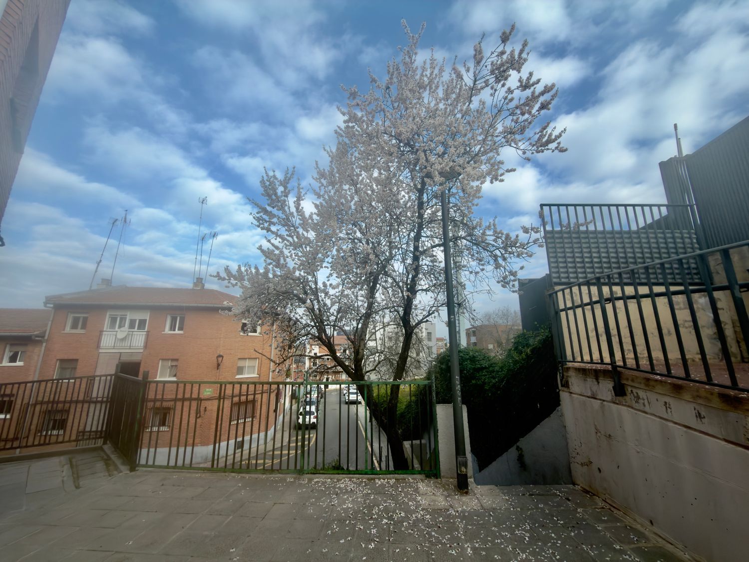 Piso en Barrio Zona Pueblo - Foto 31