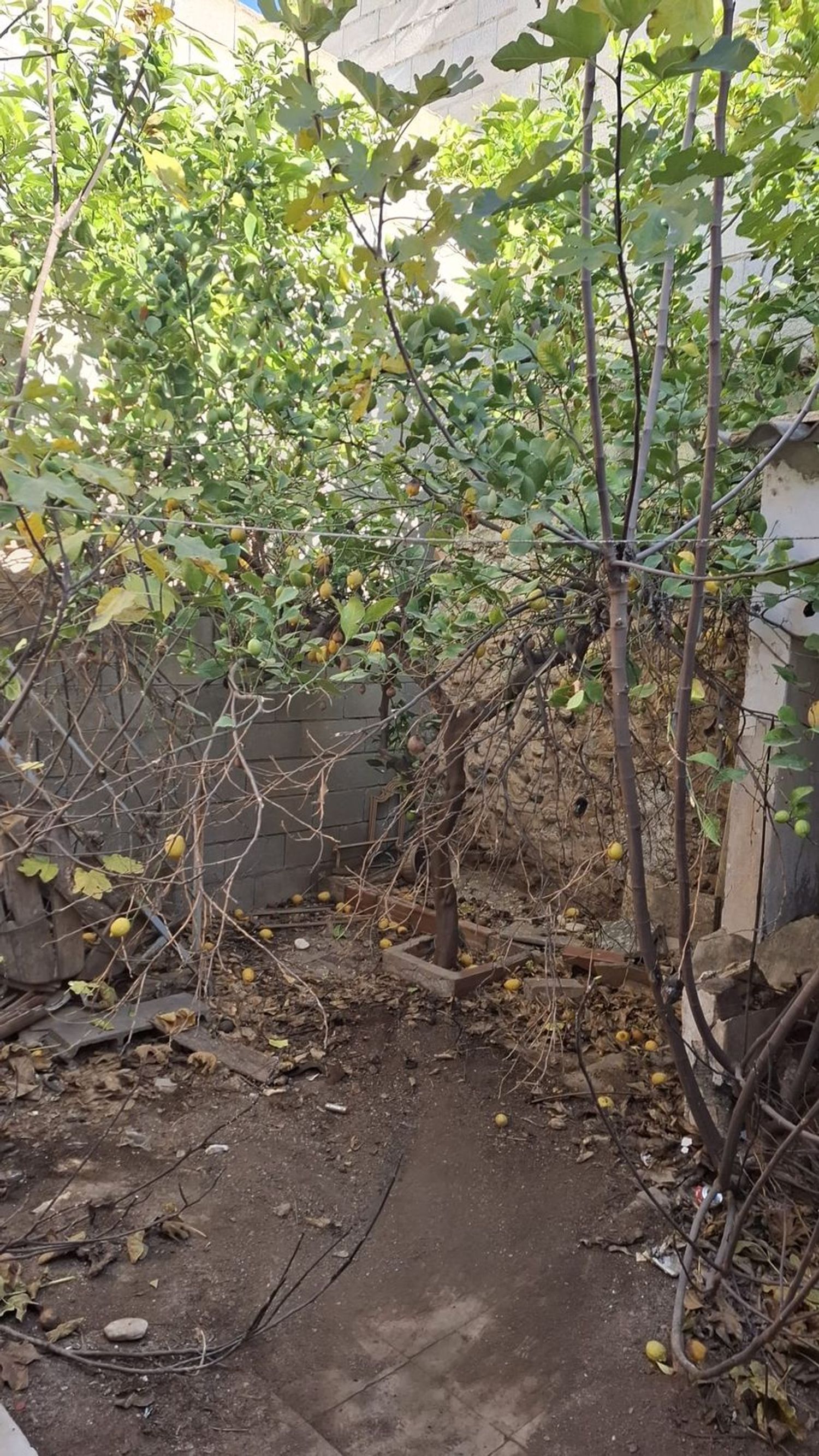 Casa de pueblo en Calle Levante, 6 - Foto 6