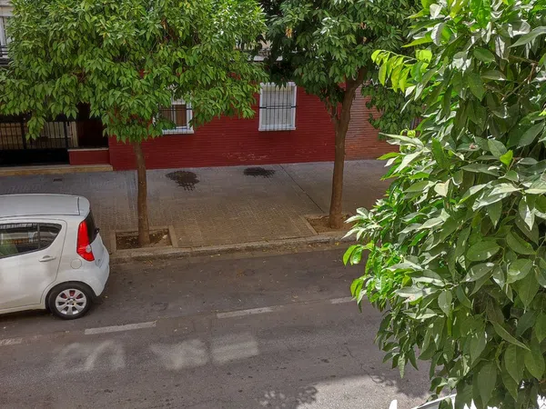 Piso en Calle Araquil, 4, El Juncal - El Plantinar - Foto 8