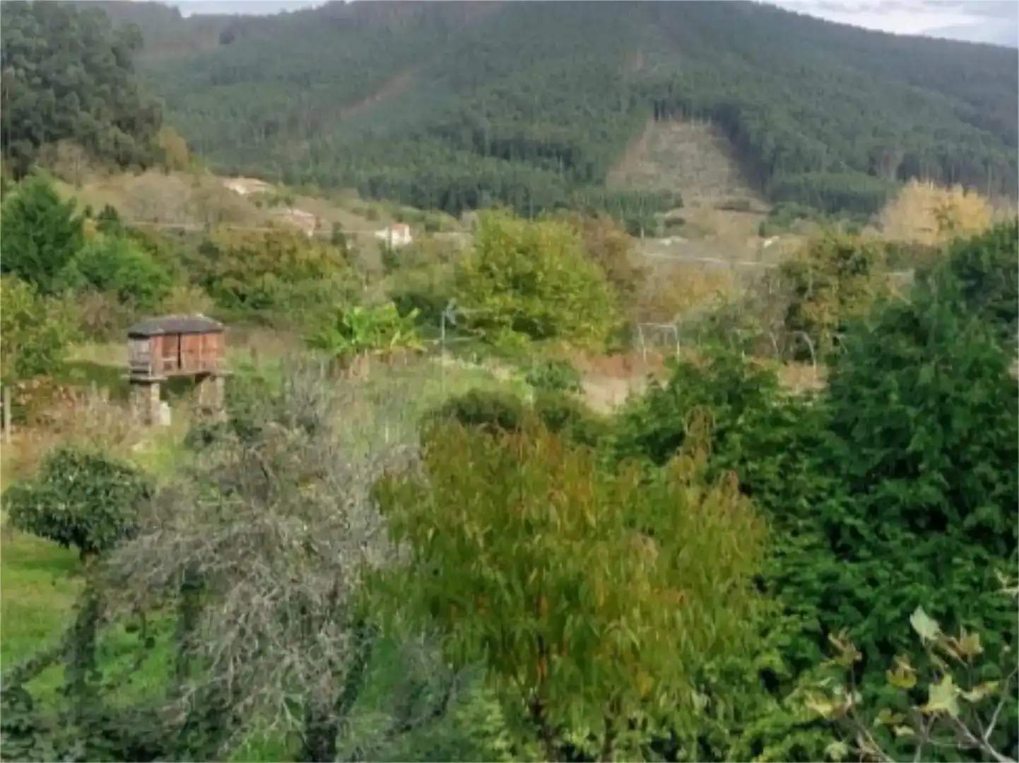 Chalet en  Aldea Barreiras 4 - Foto 9