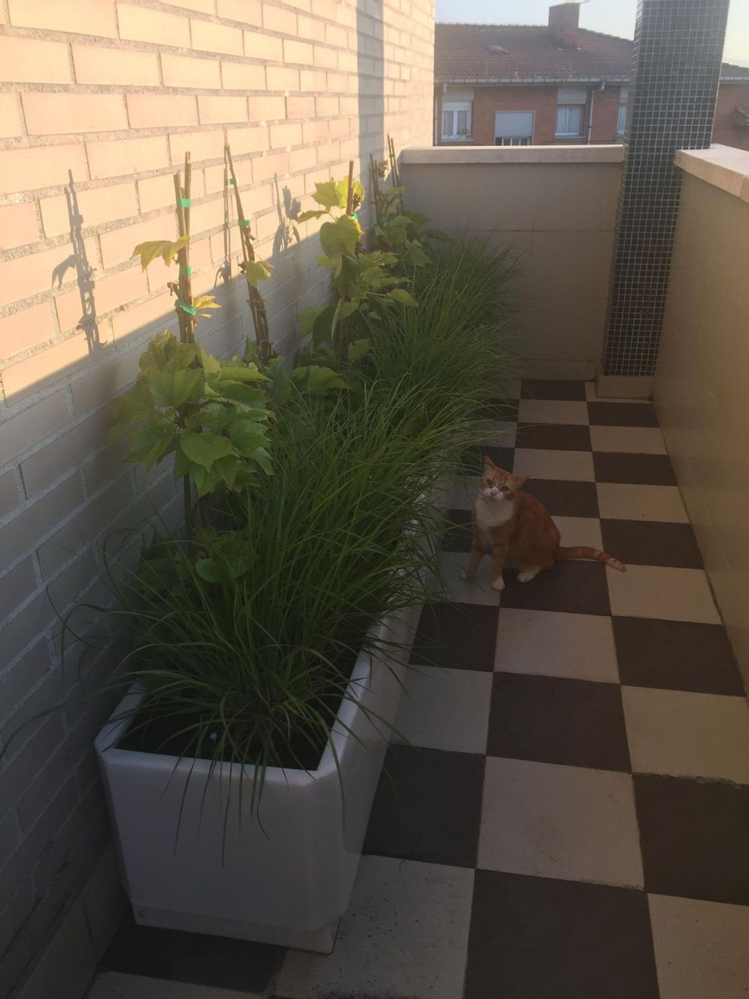 Dúplex en calle de San Lázaro, 25 - Foto 33