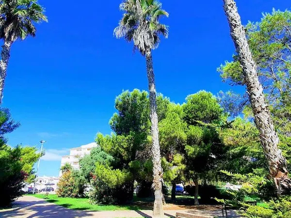 Piso en Travesía Gabino, 19, Nueva Torrevieja - Foto 13