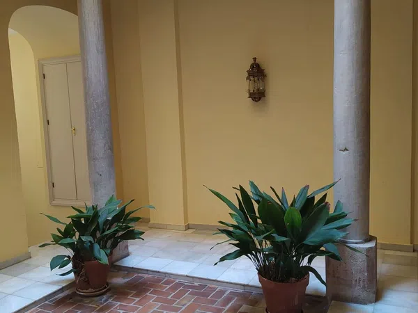Piso en Calle Horno de Haza, 4, Jardín Botánico - Foto 19
