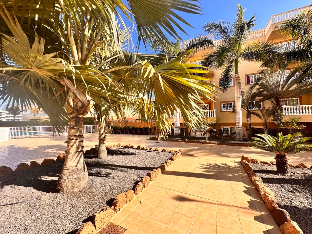Apartamento en  Calle Jilguero 14 - Foto 3
