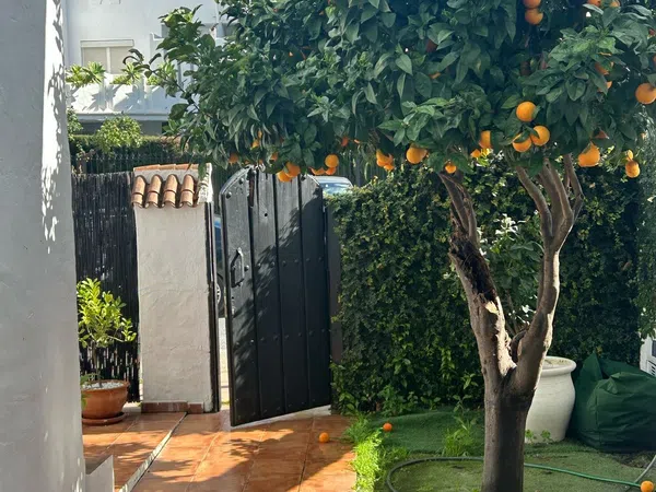 Chalet adosado en Calle Alcaucín, 3 - Foto 26
