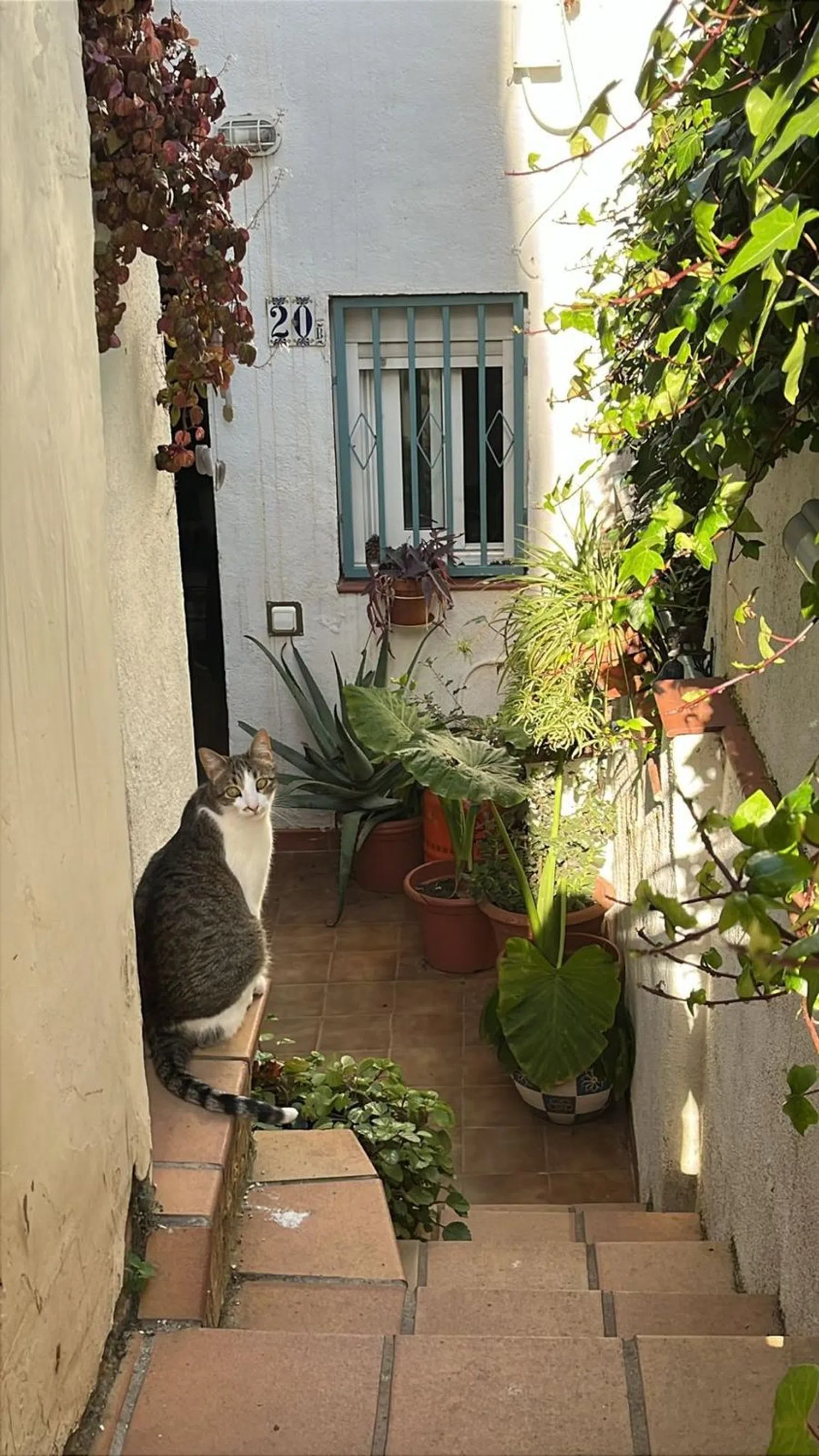 Chalet adosado en calle de Marià Labèrnia, 20 - Foto 2