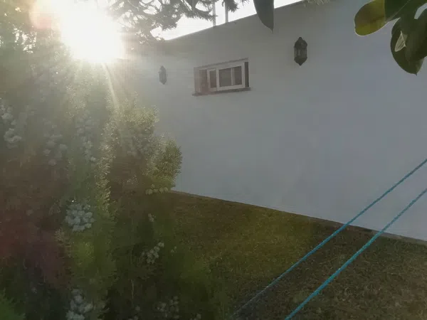 Casa o chalet independiente en Calle la Chumbera, 2, Los Pinos, Los Pinos - Foto 10