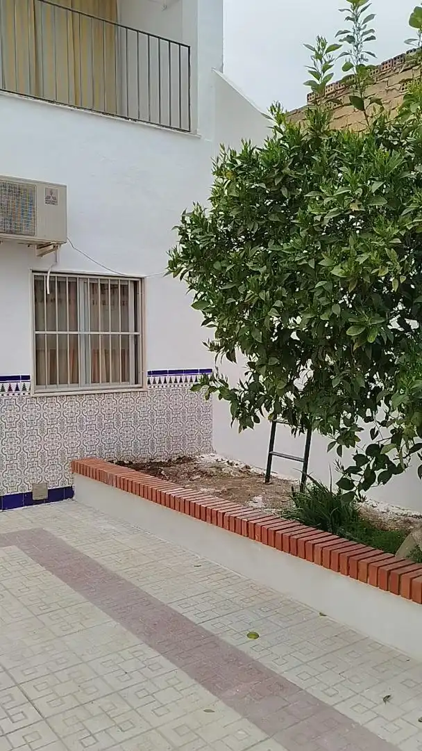Planta baja en  Calle Jaén 1B - Foto 6