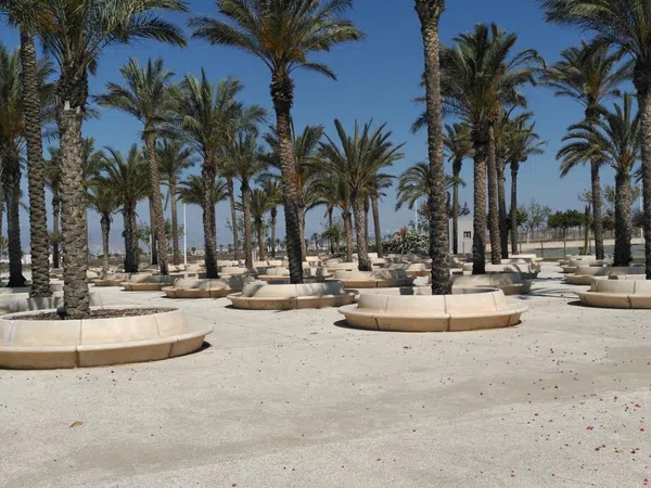 Piso en Avenida juegos mediterráneos y voleibol, 2025 - Foto 24