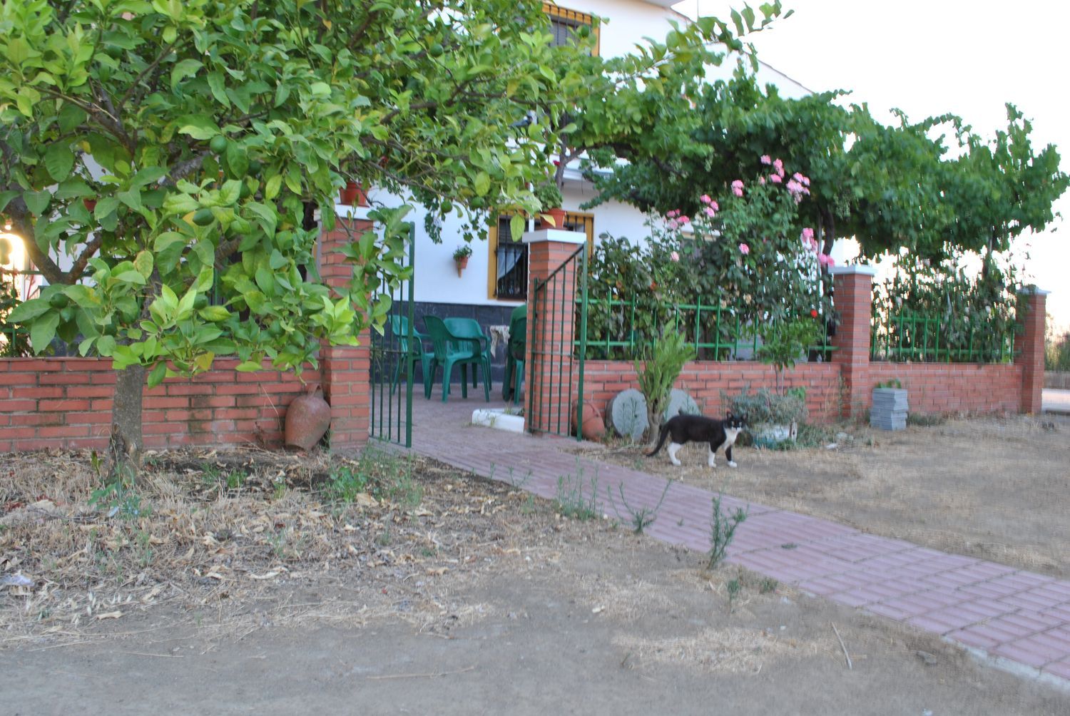 Casa rural en camino s/n - Foto 5