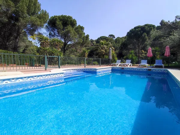 Casa independiente en avenida de las Adelfas, 119 - Foto 5