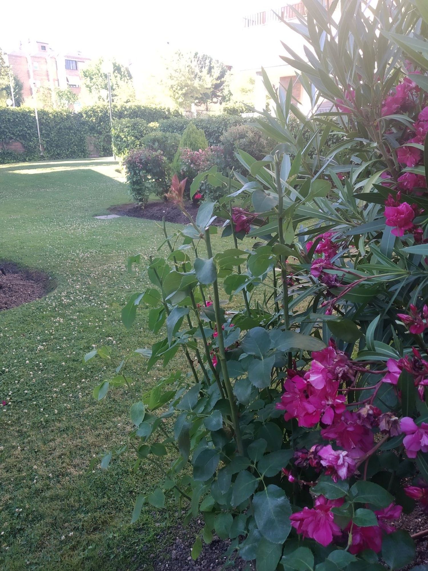 Piso en Golf - El Carralero - Foto 20