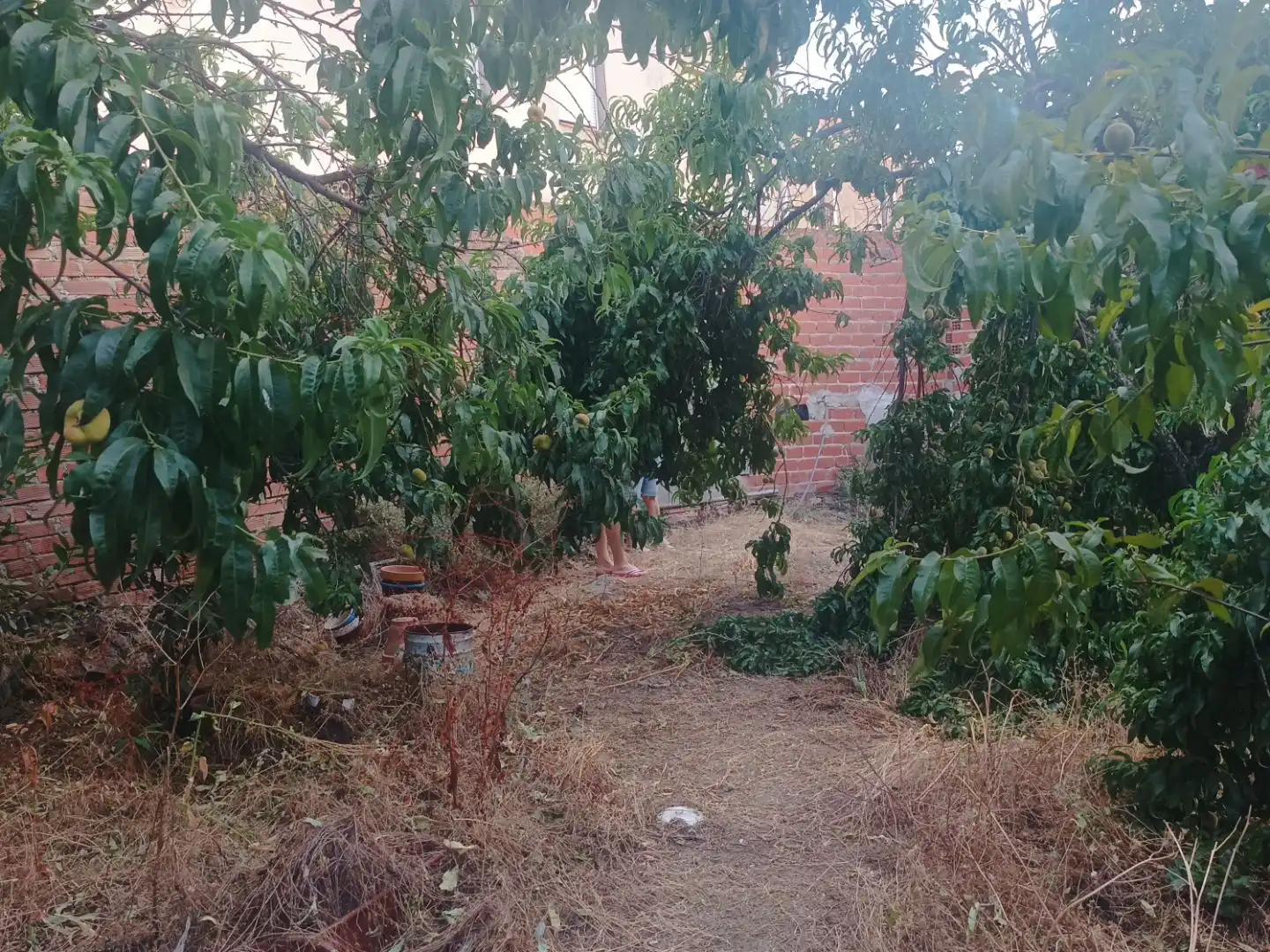 Planta baja en  Calle Peligro 15 - Foto 7