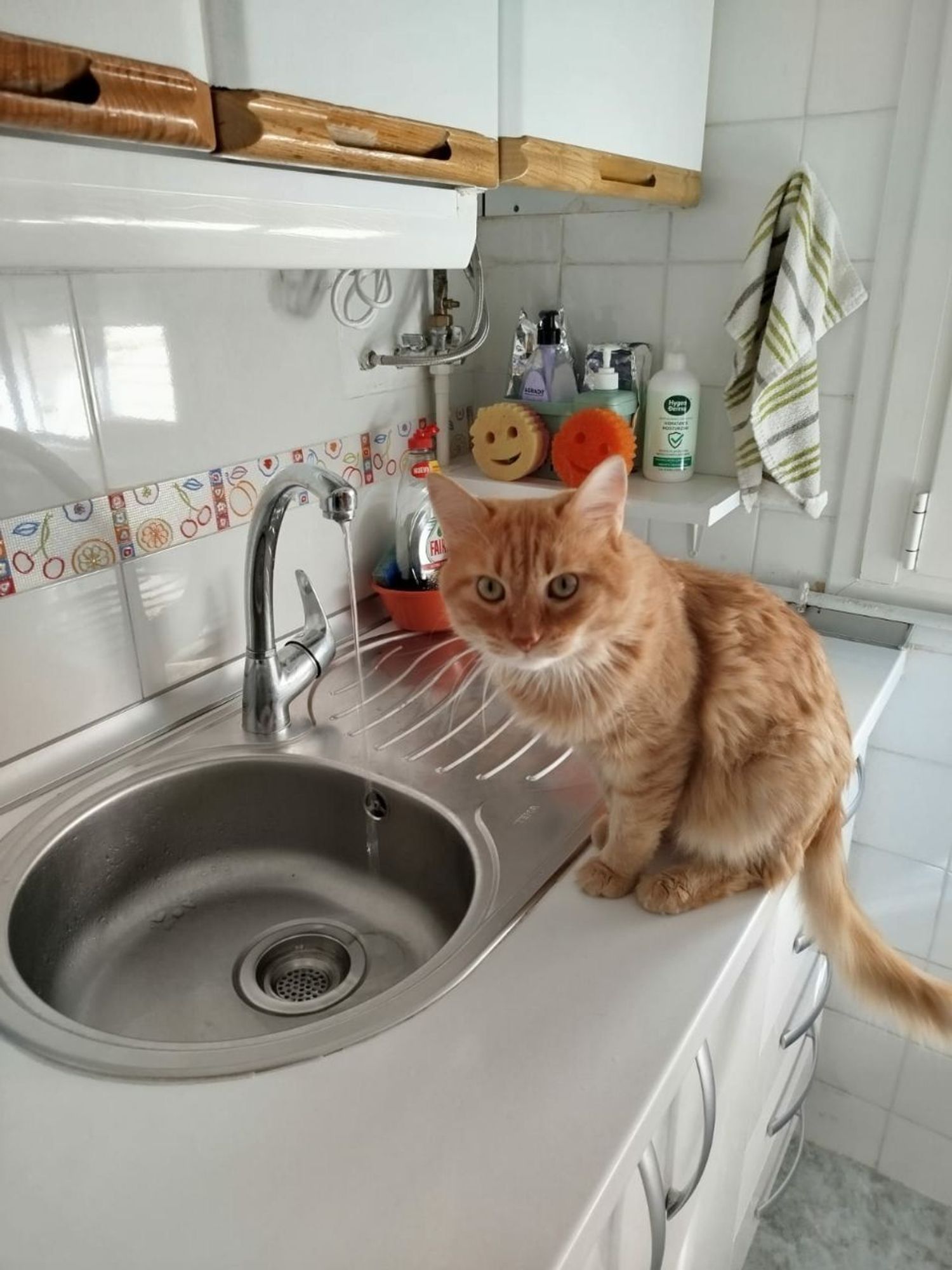 Piso en calle de la Verja, 44 - Foto 13