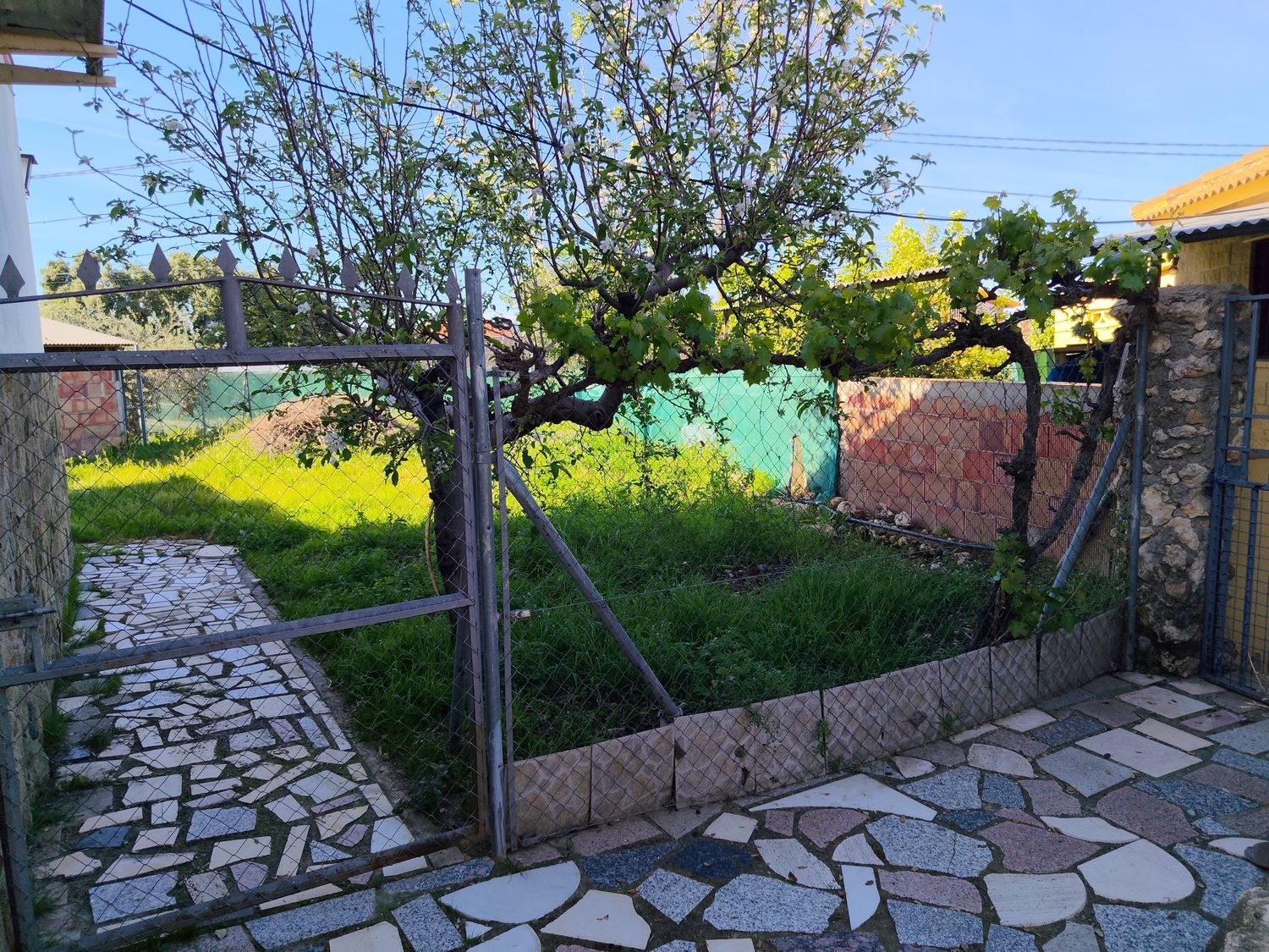 Finca rústica en Calle lentisco (Urbanización acebuchal), 2 - Foto 29