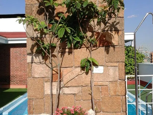 Estudio en calle del Doctor Fleming, 44 - Foto 9