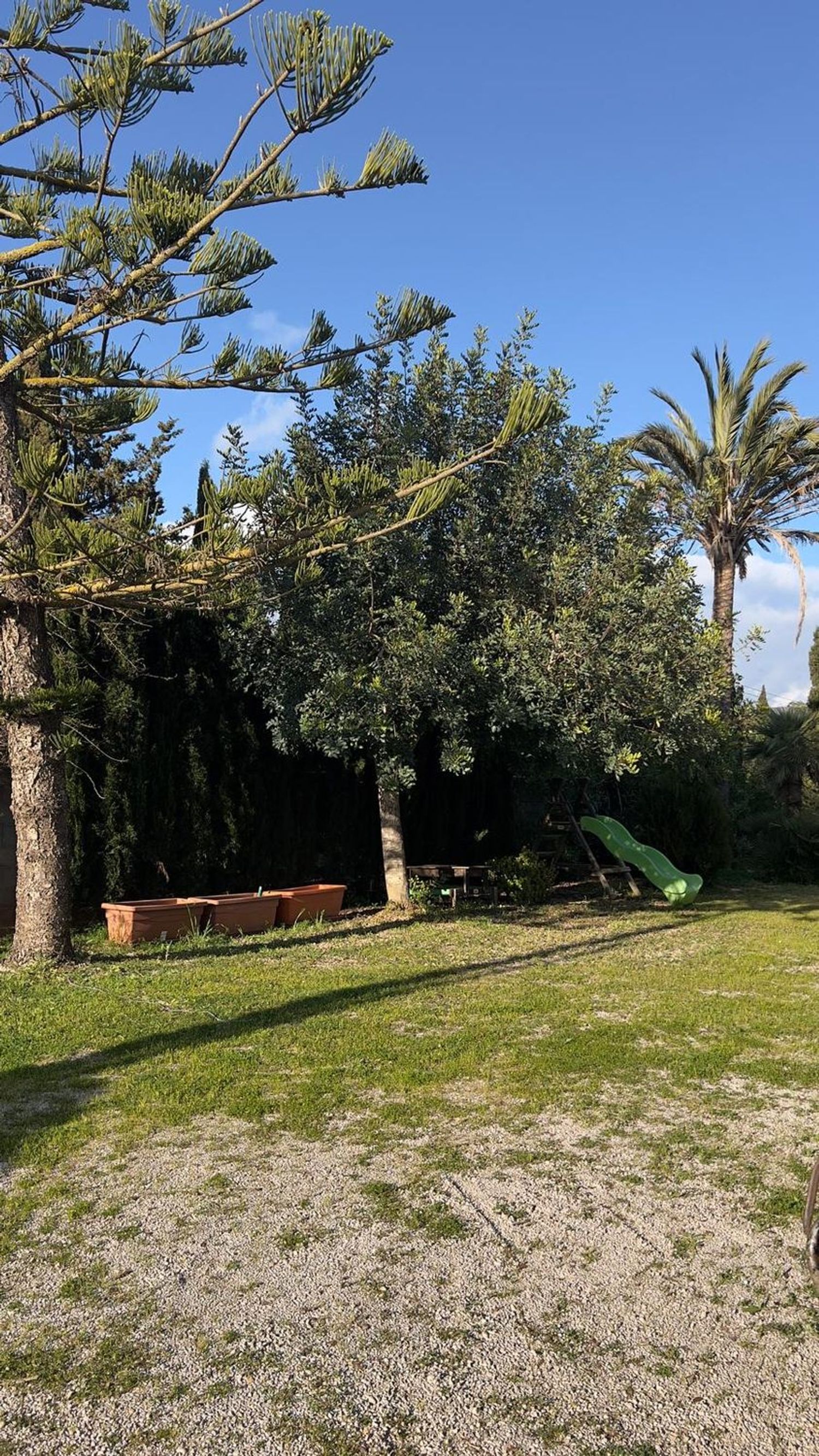 Casa independiente en Llucmajor Interior - Foto 4