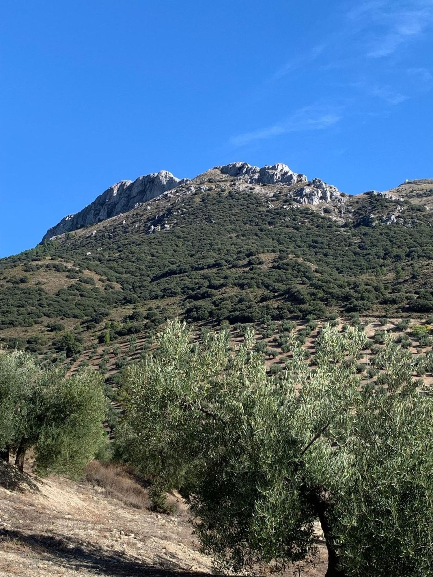 Casa rural en Paraje Los Morteros, 84 parcelay - Foto 24