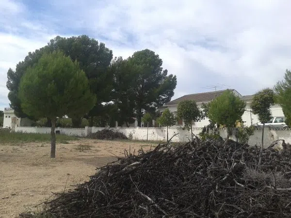 Finca rústica en Rm-a14 s/n - Foto 16