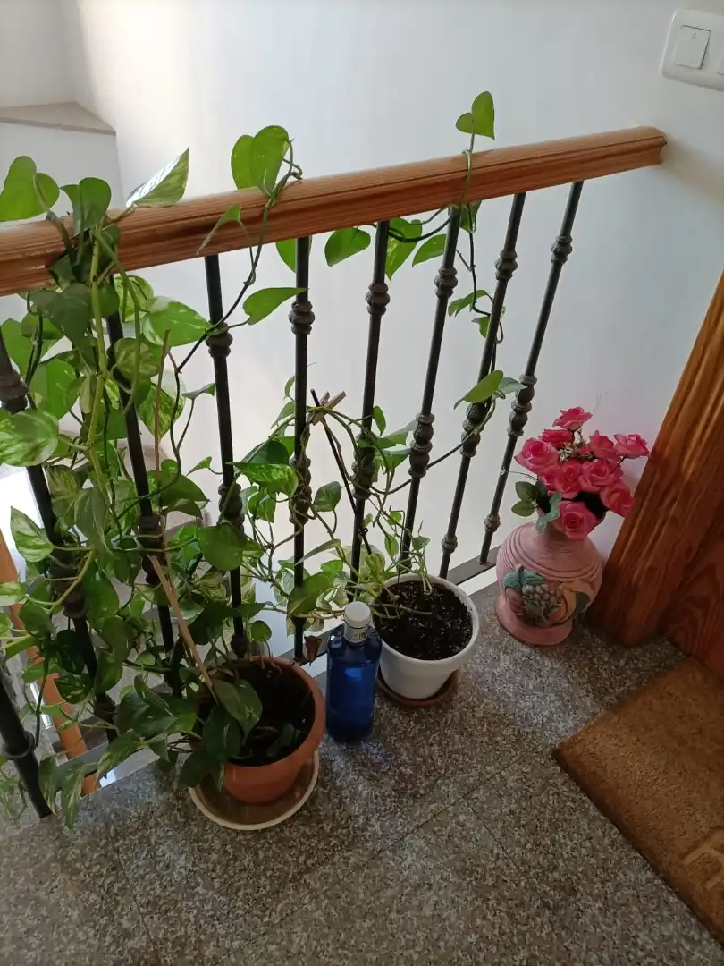 Apartamento en  Calle Río Padrón 9 - Foto 12