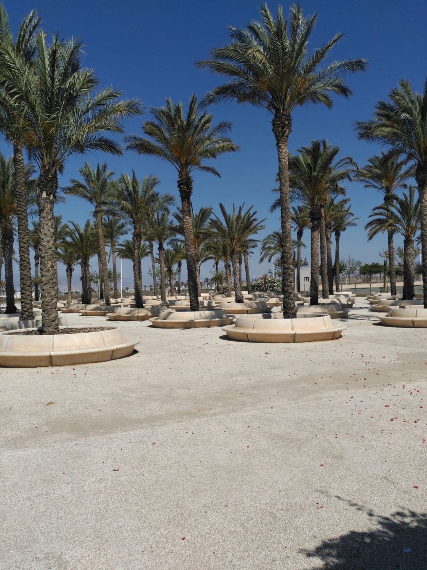 Piso en Avenida juegos mediterráneos y voleibol, 2025 - Foto 24