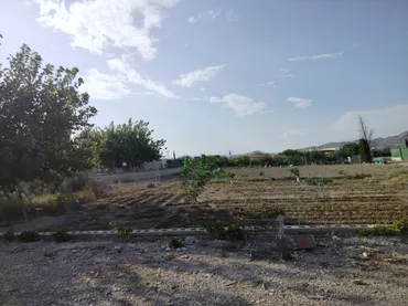 Casa adosada en  Carretera Orilla del Azarbe 164 - Foto 2
